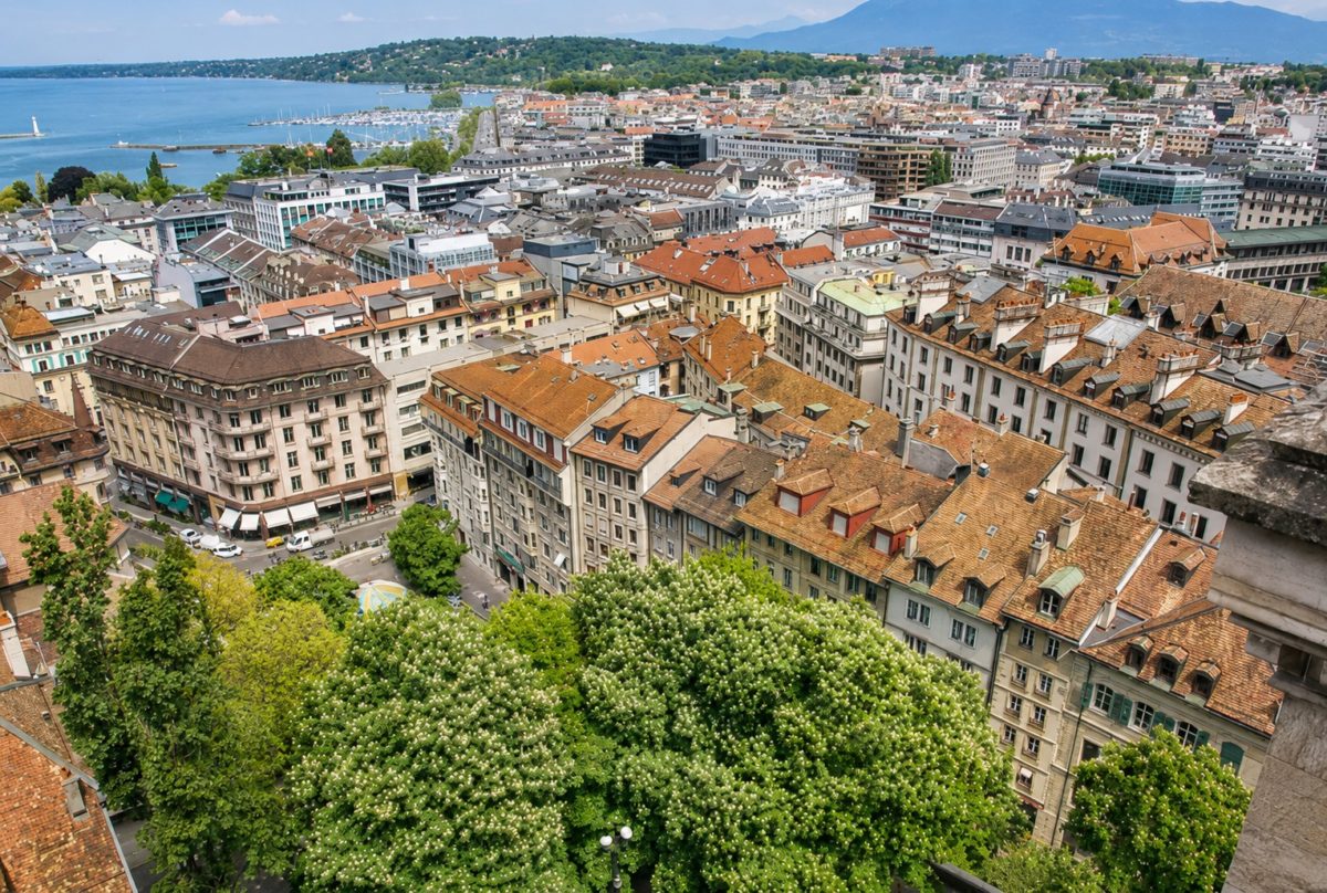 Vue aérienne carouge