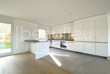 Spacieuse villa contemporaine avec vue lac