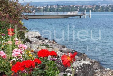 Appartement de standing avec vue lac