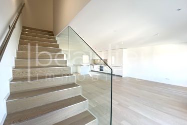 Spacieuse villa contemporaine avec vue lac