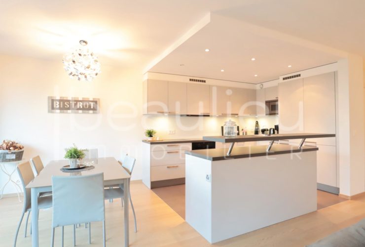 Appartement de standing avec vue lac