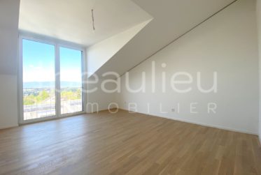 Spacieuse villa contemporaine avec vue lac