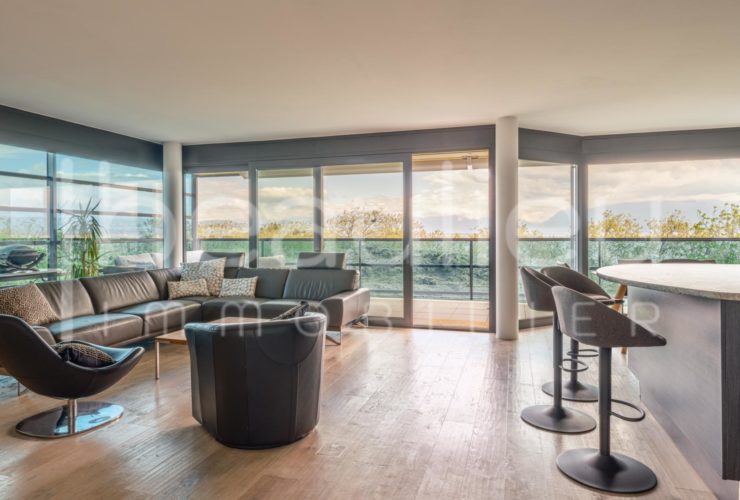 Magnifique appartement traversant avec vue lac