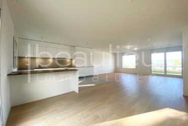 Spacieuse villa contemporaine avec vue lac