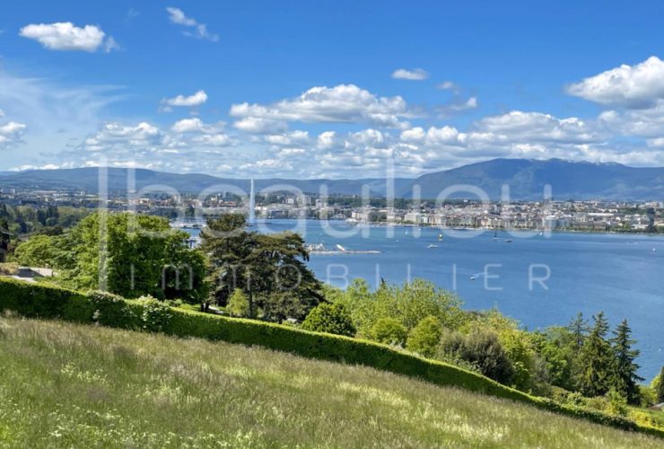 Propriétés de standing avec vue lac
