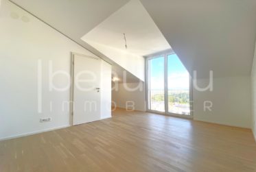 Spacieuse villa contemporaine avec vue lac