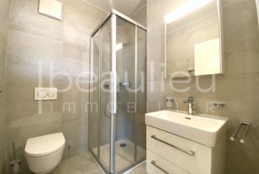 Spacieuse villa contemporaine avec vue lac