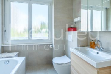 Appartement rénové, avec loggia et vue dégagée
