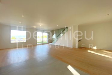 Spacieuse villa contemporaine avec vue lac