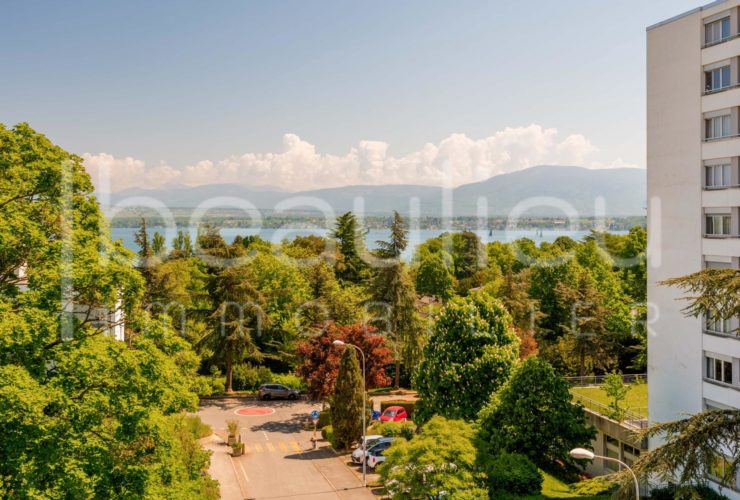 Magnifique appartement rénové avec loggias et superbe vue lac