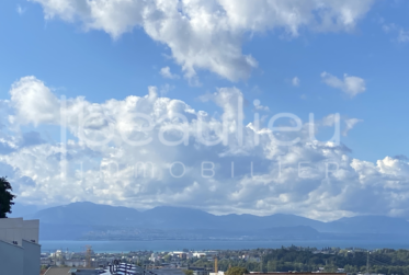 Spacieuse villa contemporaine avec vue lac