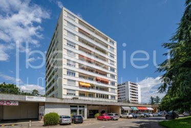 Appartement rénové, avec loggia et vue dégagée